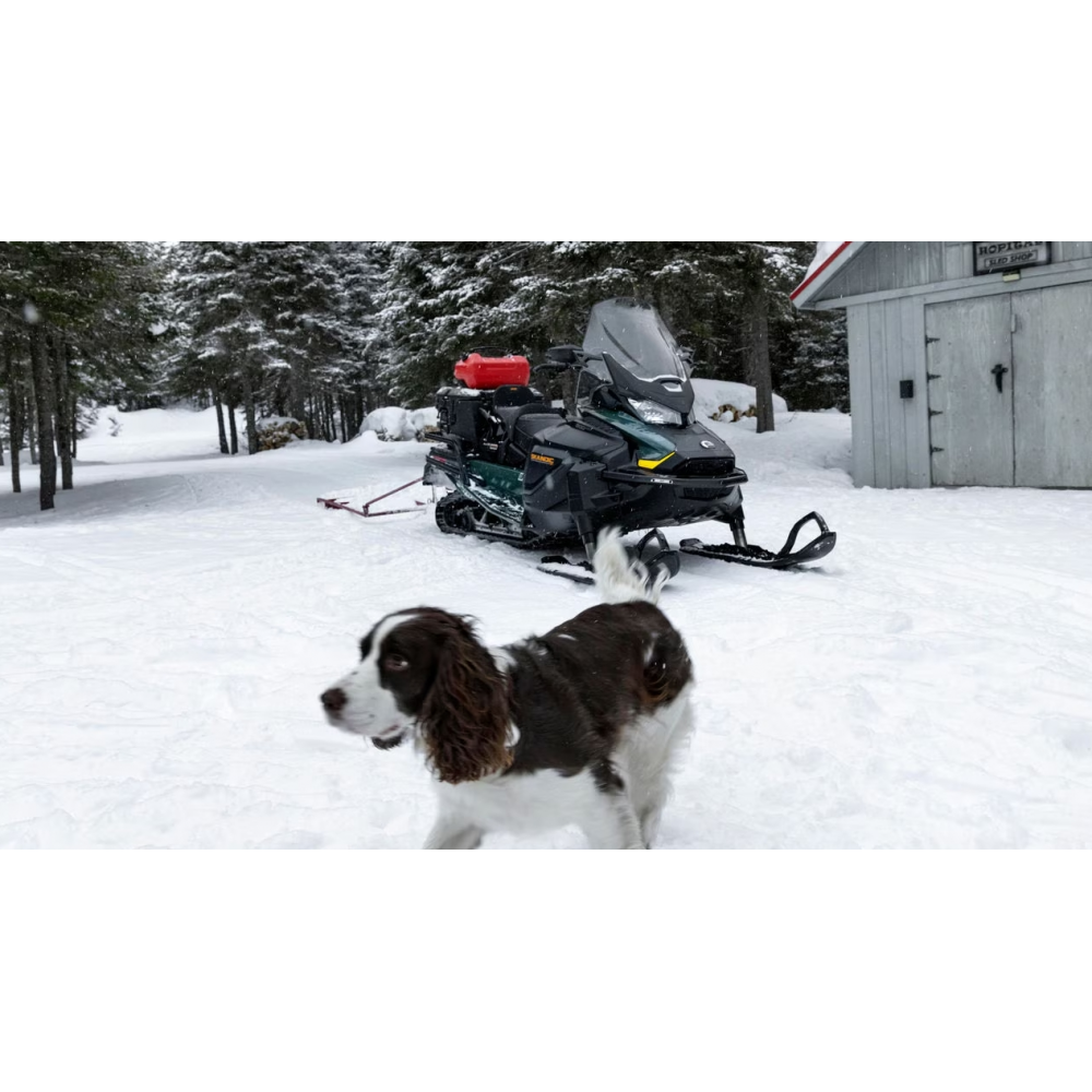 Снегоход 2025 SKI-DOO Skandic SE 20 900 Ace (2024)