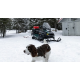 Снегоход 2025 SKI-DOO Skandic SE 20 900 Ace (2024)