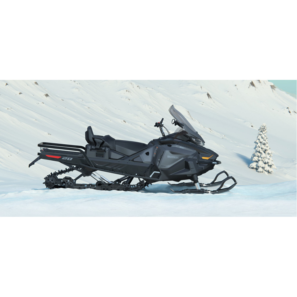 Снегоход 2025 SKI-DOO Skandic SE 20 900 Ace (2024)
